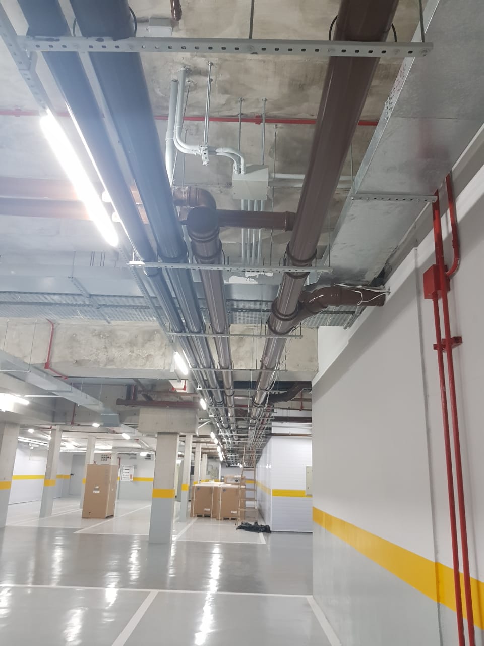 WhatsApp Image 2020-08-12 at 11.56.02.jpeg