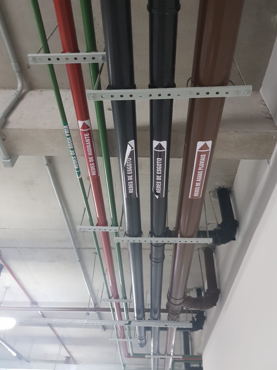 WhatsApp Image 2020-08-12 at 11.56.01.jpeg